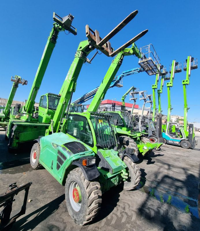 Merlo