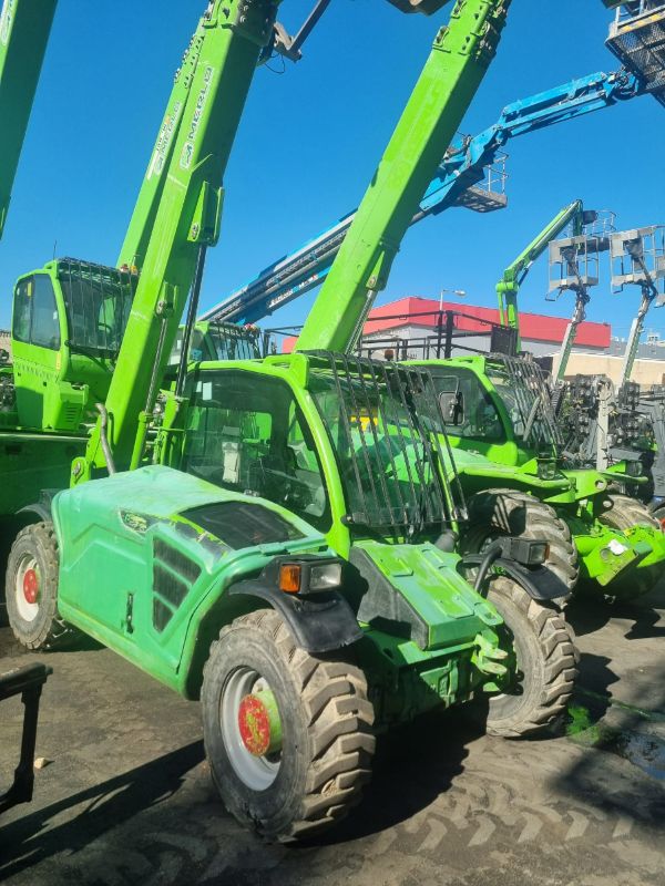 Merlo