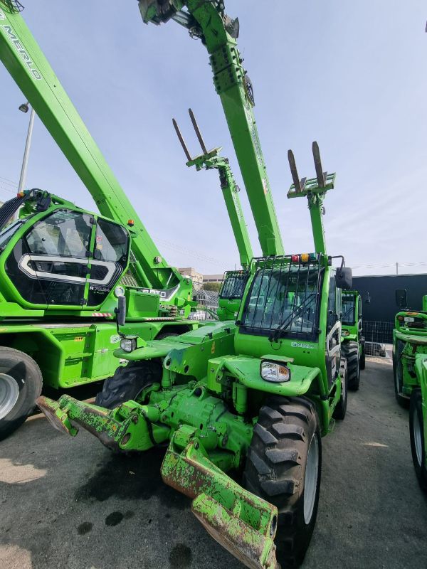 Merlo