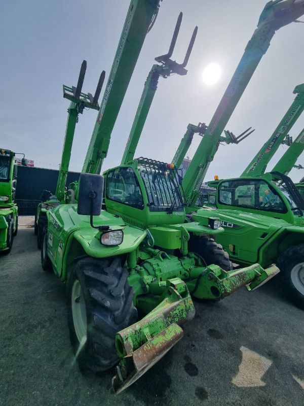 Merlo