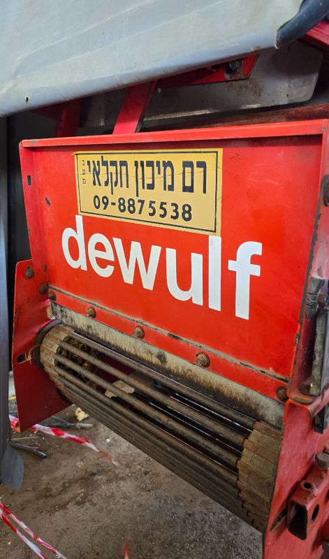 Dewulf - דוולף