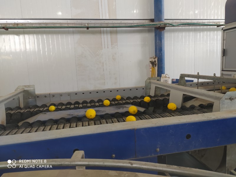 Unitec - יוניטק