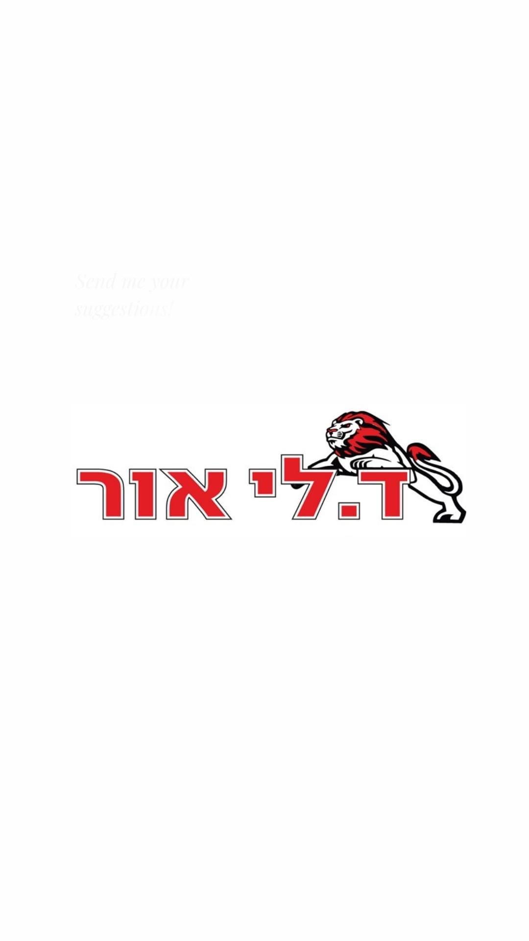 ד. לי- אור שירותי רכב בע״מ
