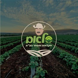 סלאם חקלאות ומסחר בע"מ