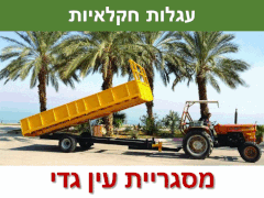 Machine - לוח ציוד כבד, כלים כבדים של ישראל